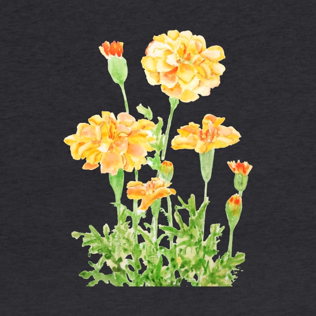 orange Mexican marigold flowers by colorandcolor